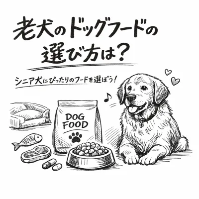 老犬のドッグフードの選び方は？