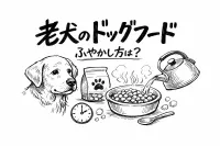 老犬のドッグフードふやかし方は？
