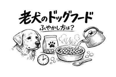 老犬のドッグフードふやかし方は？