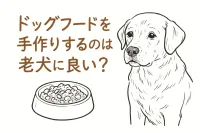ドッグフードを手作りするのは老犬に良い？