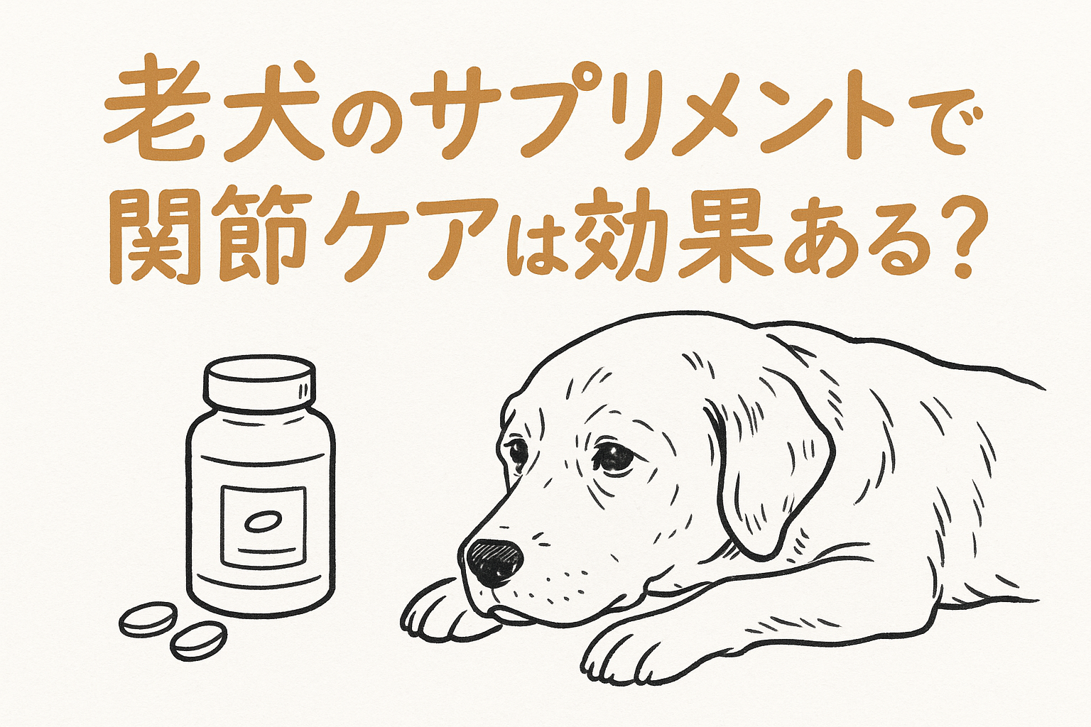 老犬のサプリメントで関節ケアは効果ある?