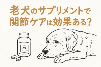 老犬のサプリメントで関節ケアは効果ある?