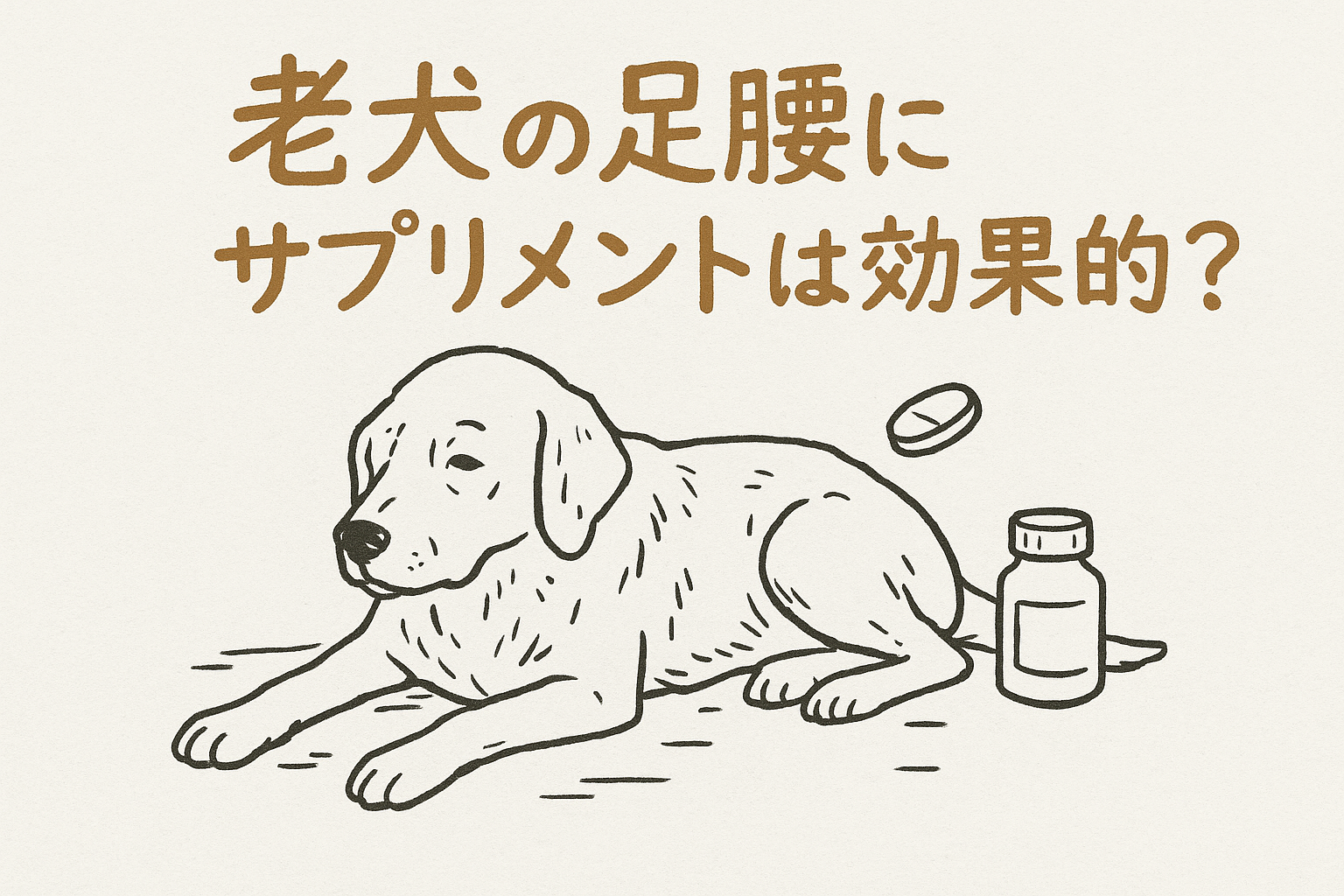 老犬の足腰にサプリメントは効果的？