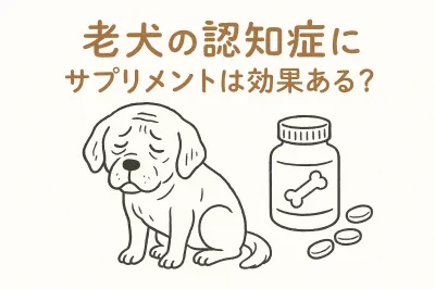 老犬の認知症にサプリメントは効果ある？