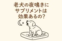 老犬の夜鳴きにサプリメントは効果あるの？