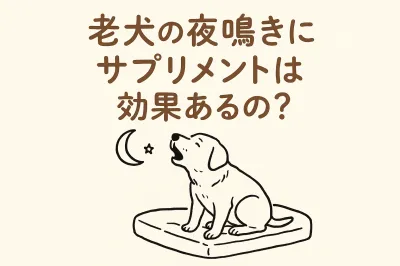 老犬の夜鳴きにサプリメントは効果あるの？