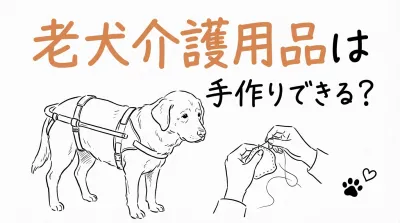 老犬介護用品は手作りできる？