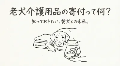 老犬介護用品の寄付って何？