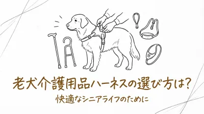 老犬介護用品ハーネスの選び方は？