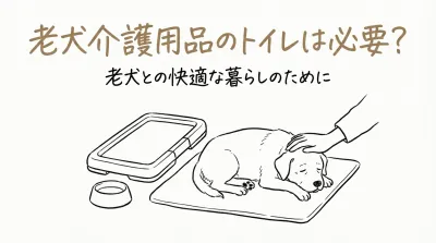 老犬介護用品のトイレは必要？