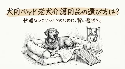 犬用ベッド老犬介護用品の選び方は？