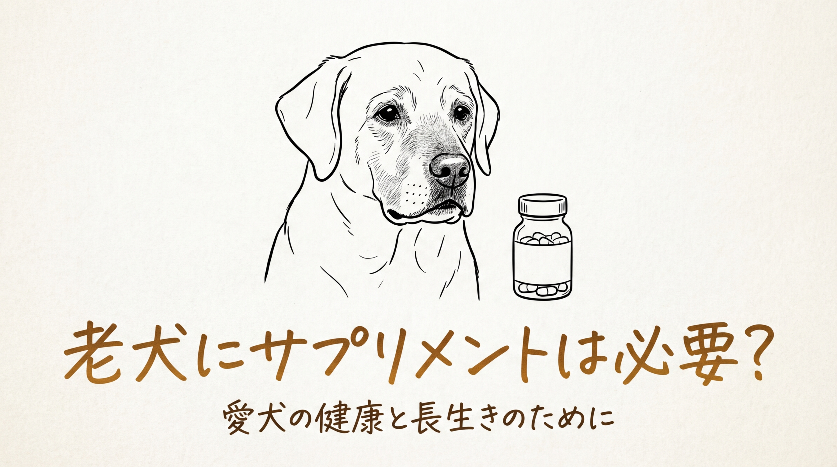 老犬にサプリメントは必要?