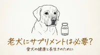老犬にサプリメントは必要？