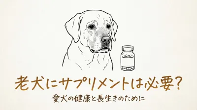 老犬にサプリメントは必要？