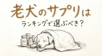 老犬のサプリはランキングで選ぶべき？