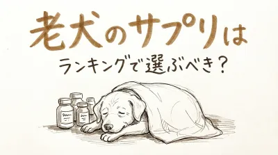 老犬のサプリはランキングで選ぶべき？