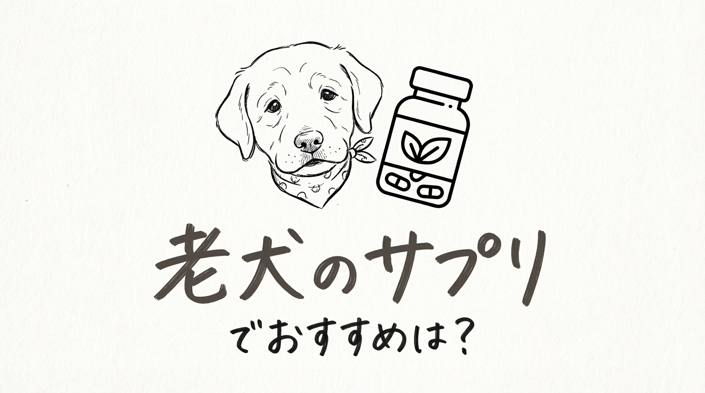 老犬のサプリでおすすめは?