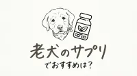 老犬のサプリでおすすめは？