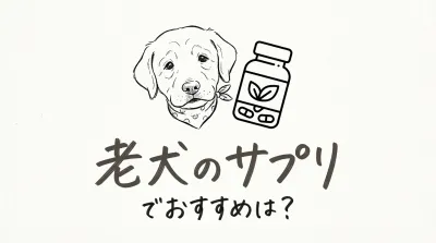 老犬のサプリでおすすめは？