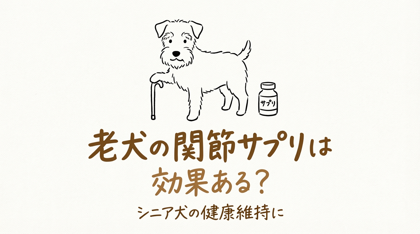 老犬の関節サプリは効果ある?