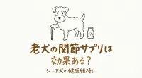 老犬の関節サプリは効果ある？