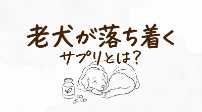 老犬が落ち着くサプリとは？