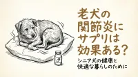 老犬の関節炎にサプリは効果ある?