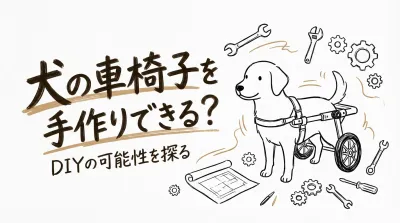 犬の車椅子を手作りできる？