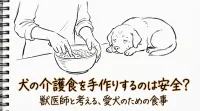 犬の介護食を手作りするのは安全？