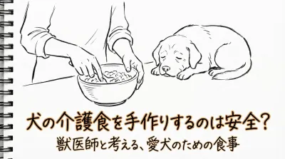犬の介護食を手作りするのは安全？