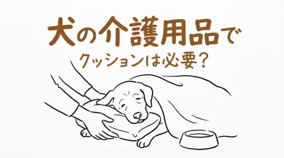 犬の介護用品でクッションは必要？