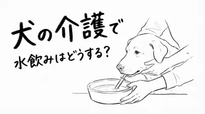 犬の介護で水飲みはどうする？