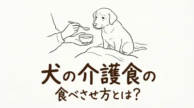 犬の介護食の食べさせ方とは？