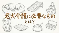 老犬介護に必要なものとは？