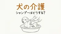 犬の介護でシャンプーはどうする?