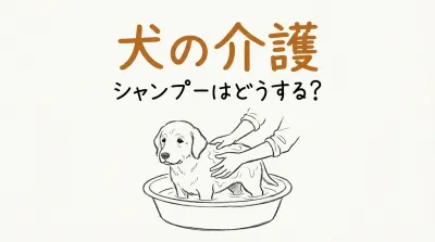 犬の介護でシャンプーはどうする?