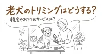 老犬のトリミングはどうする？頻度やおすすめサービスは？