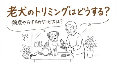 老犬のトリミングはどうする？頻度やおすすめサービスは？