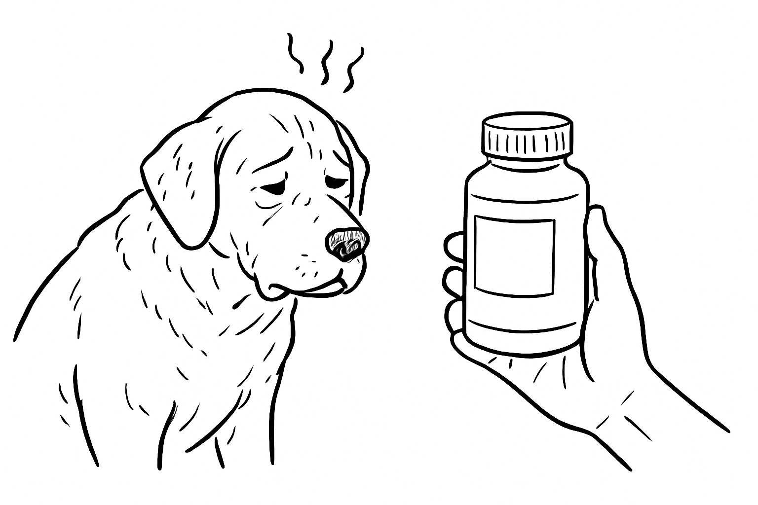 老犬の認知症にはサプリメントが有効です